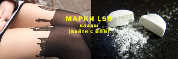 ПСИЛОЦИБИНОВЫЕ ГРИБЫ Богданович