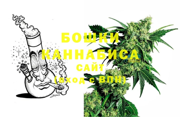 дурь Богородицк