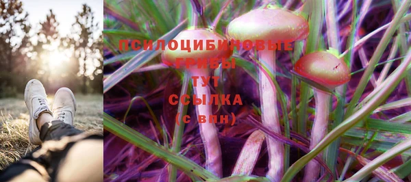 ПСИЛОЦИБИНОВЫЕ ГРИБЫ Богданович