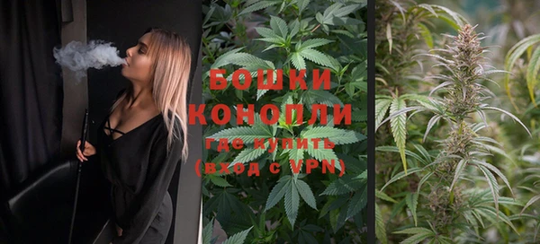 ПСИЛОЦИБИНОВЫЕ ГРИБЫ Богданович