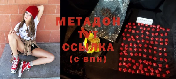 ПСИЛОЦИБИНОВЫЕ ГРИБЫ Богданович