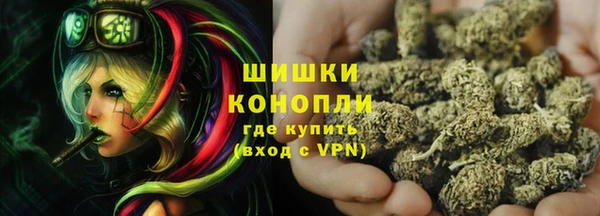 соль ск Богородск