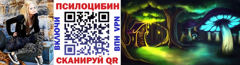 Купить где  Майский  Галлюциногенные грибы MAGIC MUSHROOMS 