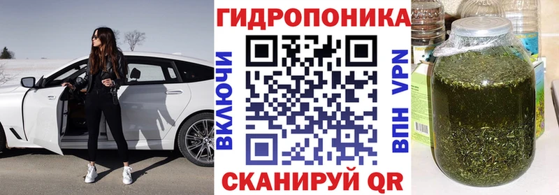 Конопля Ganja  Купить где  Майский 